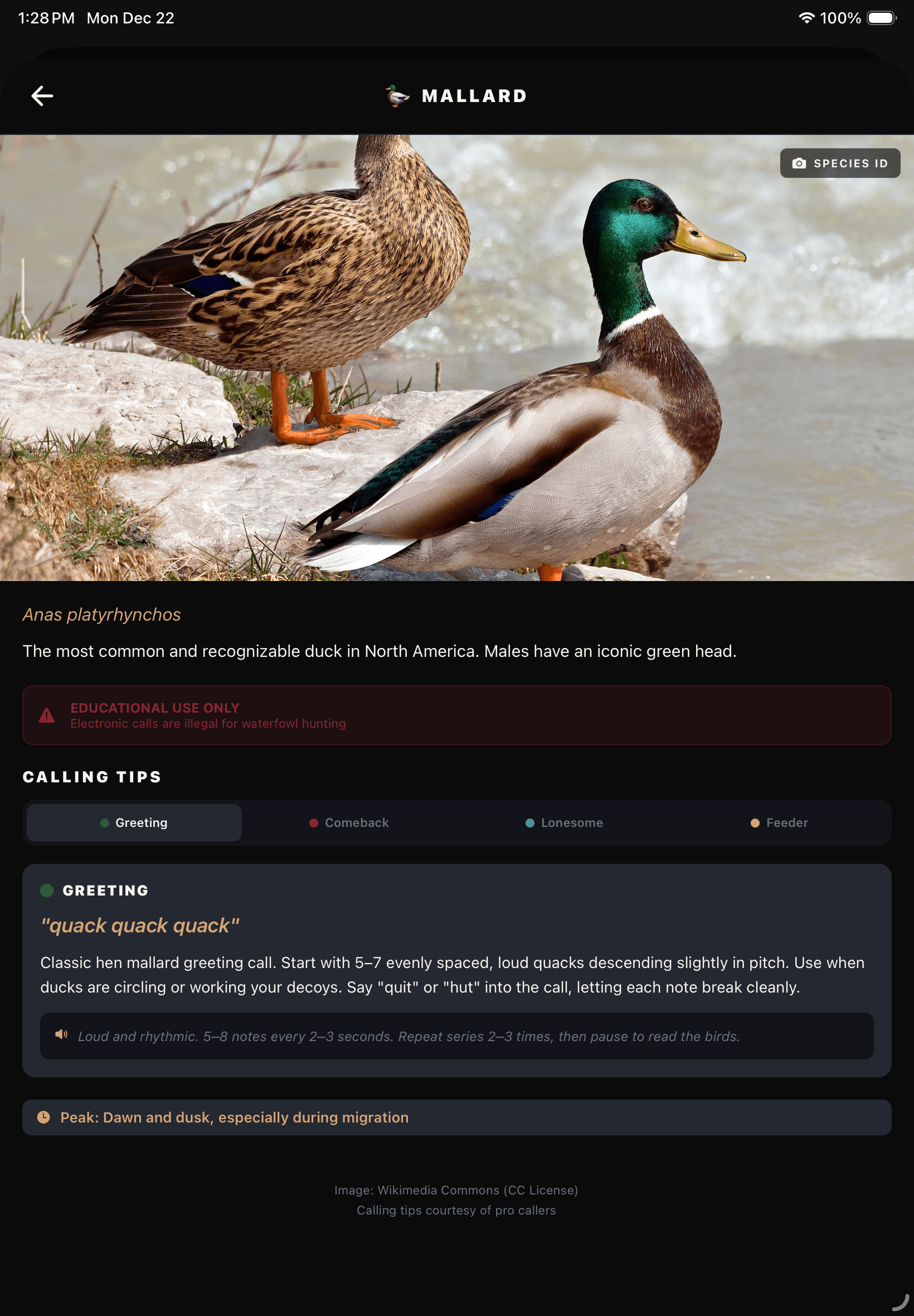 BlindBuddy Species Library with calling tips