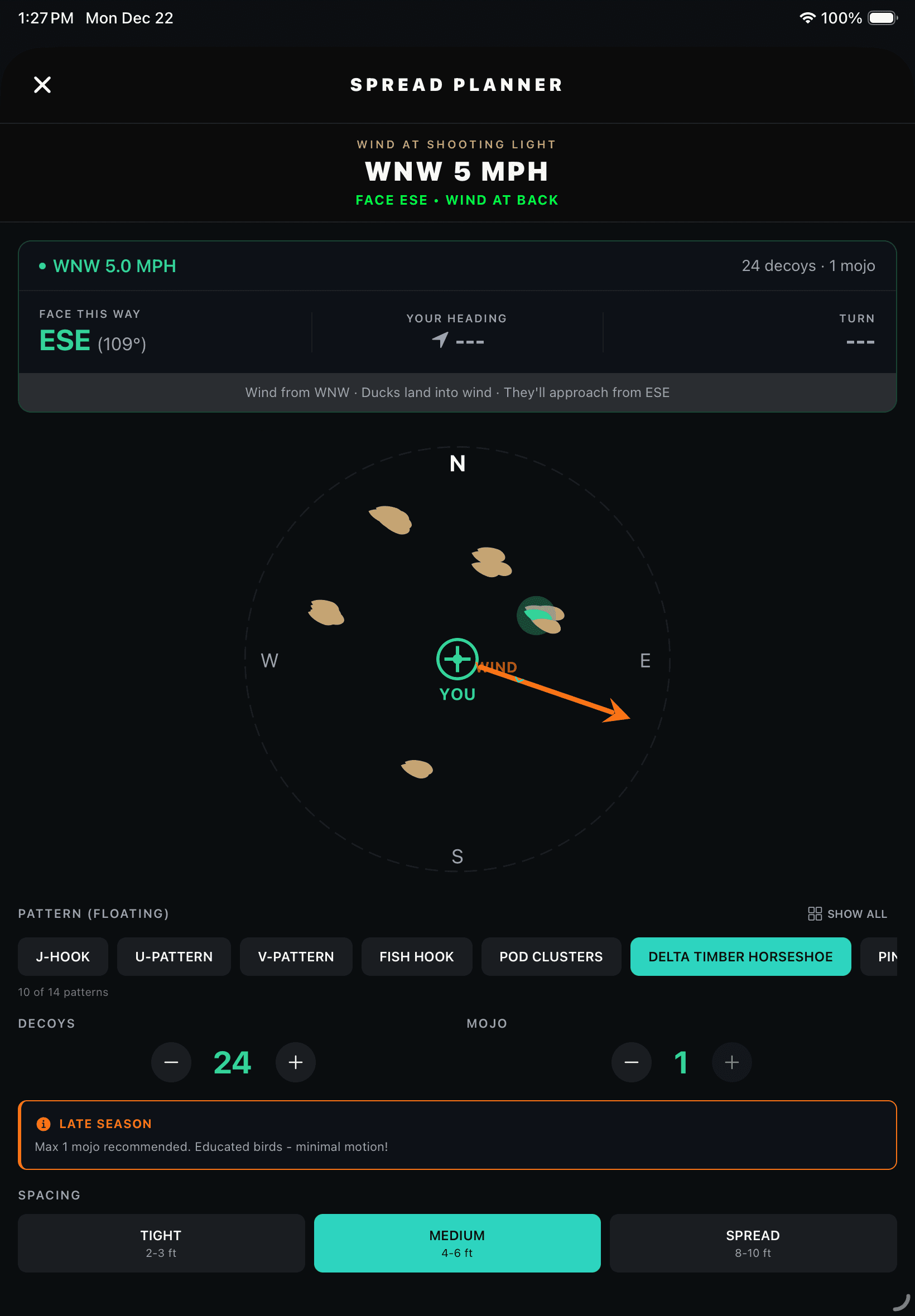 BlindBuddy Spread Planner with decoy patterns